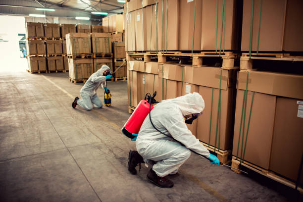 Best Pest Control Treatment  in Arcade, GA