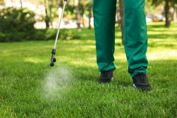 Best Pest Control for Businesses  in Arcade, GA