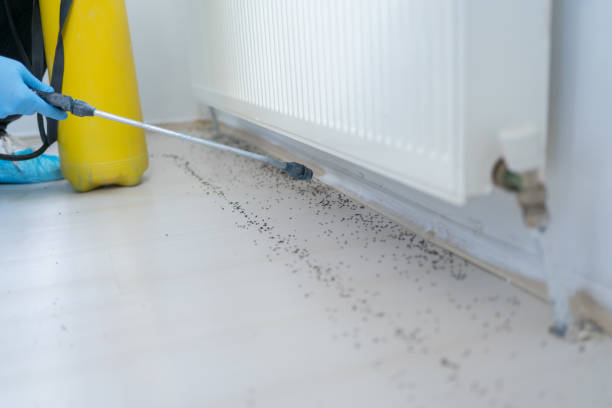 Best Cockroach Control Services  in Arcade, GA